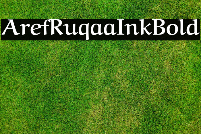 Aref Ruqaa Ink Bold Example 1