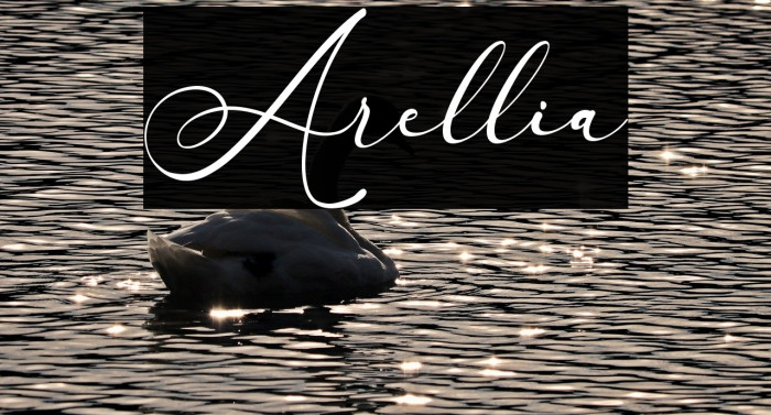Arellia Font examples