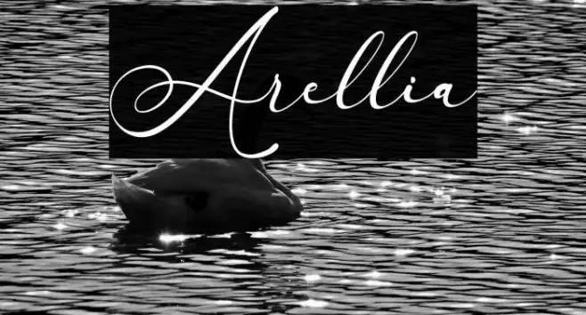Arellia Example 2