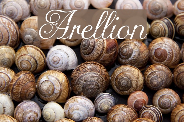 Arellion Font examples