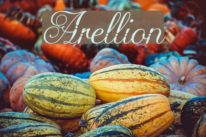 Arellion Font examples
