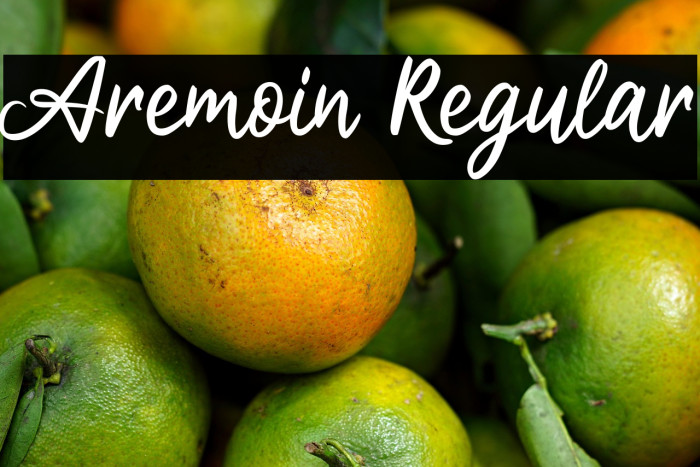 Aremoin Regular Example 3