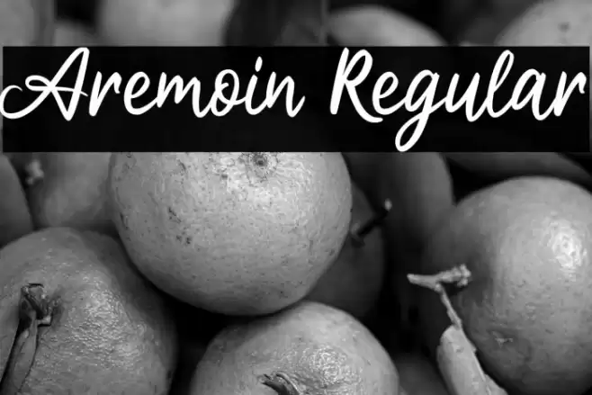 Aremoin Regular Font examples