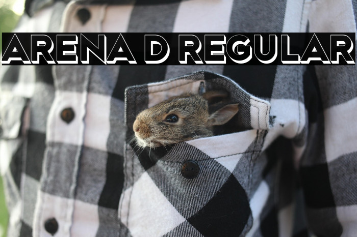 Arena 3D Regular Example 1