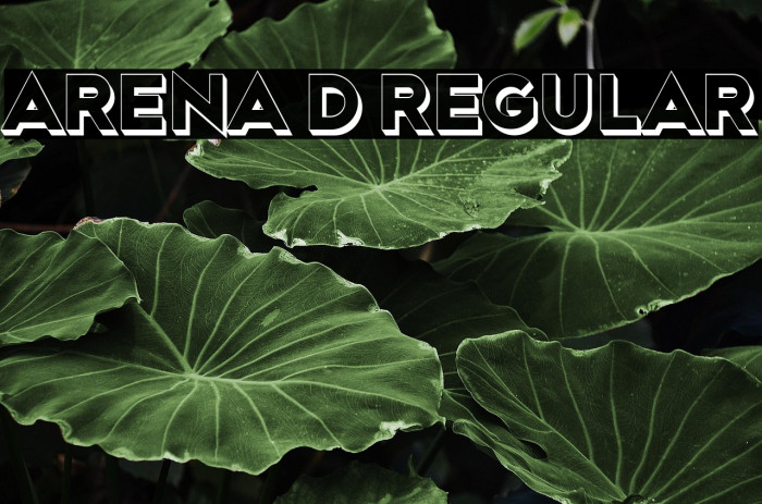 Arena 3D Regular Example 3