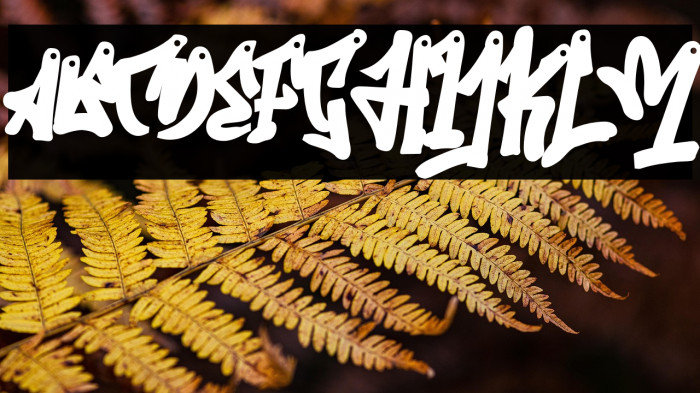 Arena Graffiti Example 2