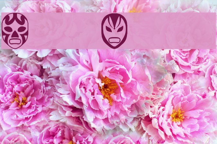 Arena Mascaras Font examples