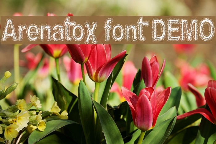 Arenatox font DEMO Шрифта examples