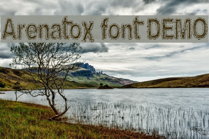 Arenatox font DEMO Шрифта examples