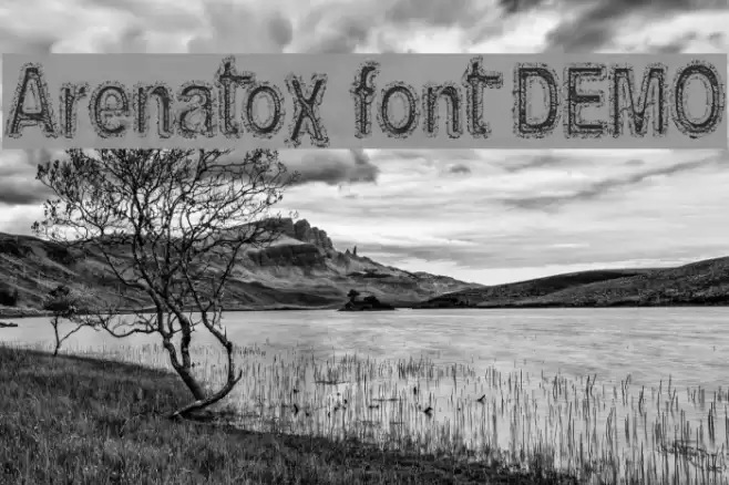 Arenatox font DEMO خط examples