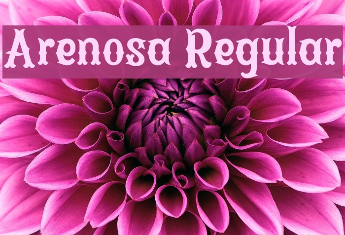 Arenosa Regular Font examples