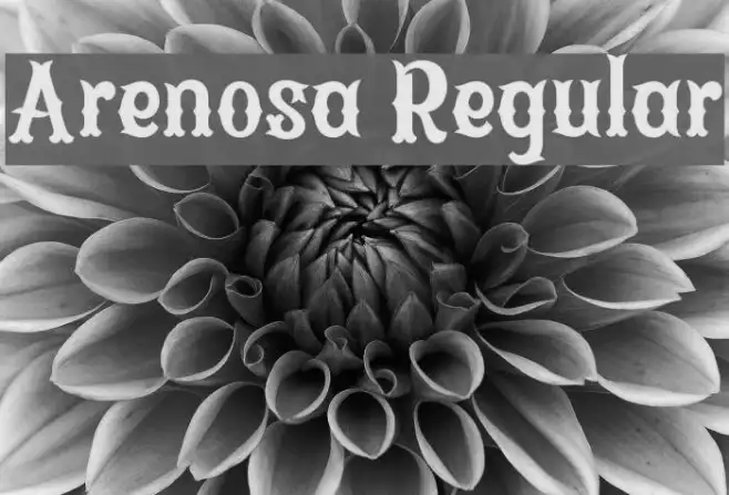 Arenosa Regular Example 2