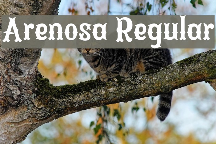 Arenosa Regular Font examples