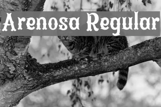 Arenosa Regular Example 3