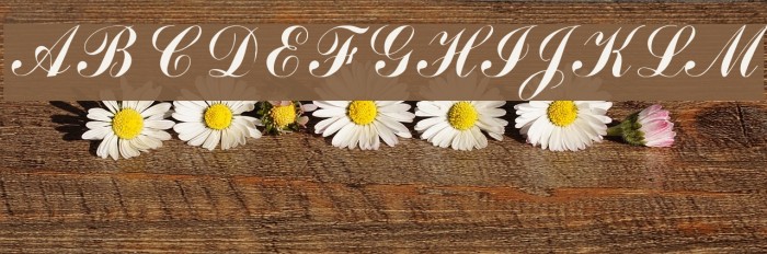 Arenski Font examples