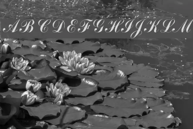 Arenski Font examples