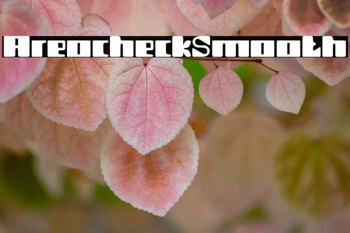 Areocheck Smooth Example 3