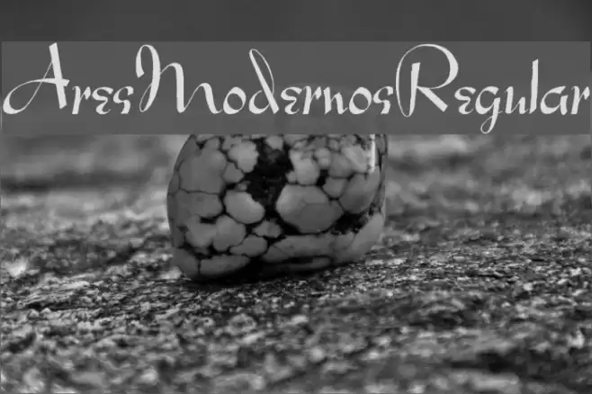 Ares Modernos Regular Font examples