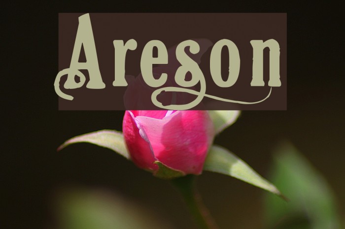 Areson Font examples