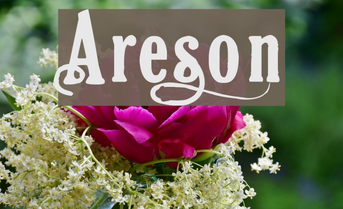 Areson Font examples