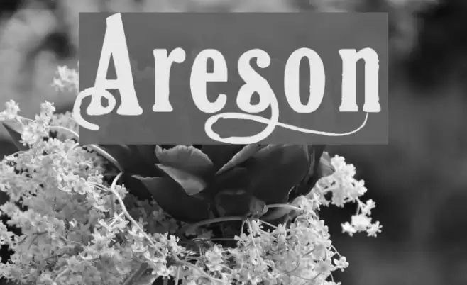 Areson Шрифта examples