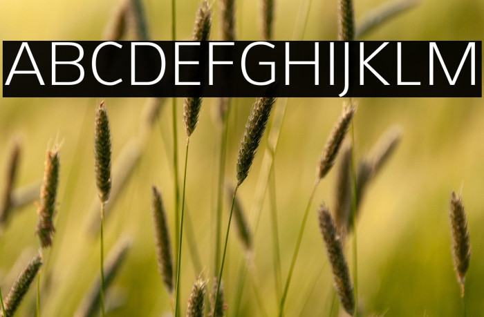 Aretha-Light Example 1