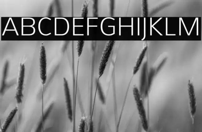 Aretha-Light Example 1