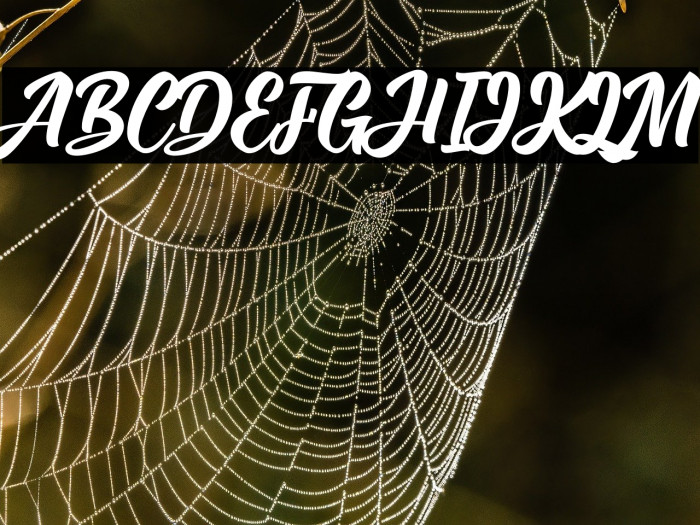 Arfelick Feather Example 3