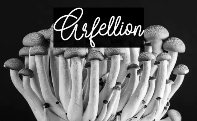 Arfellion Font examples