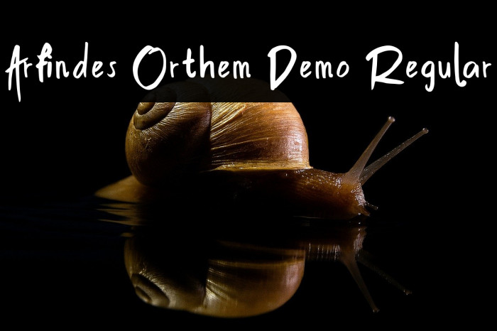 Arfindes Orthem Demo Regular Example 2
