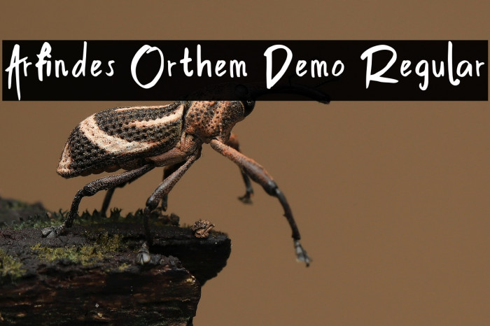 Arfindes Orthem Demo Regular Example 3