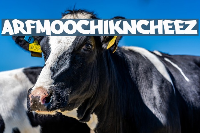 Arfmoochikncheez Schriftart examples