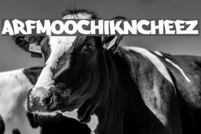 Arfmoochikncheez Font examples
