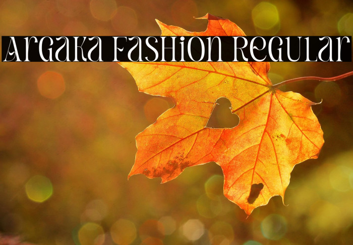 Argaka Fashion Regular Example 1