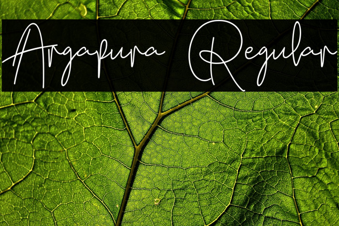 Argapura Regular Example 1