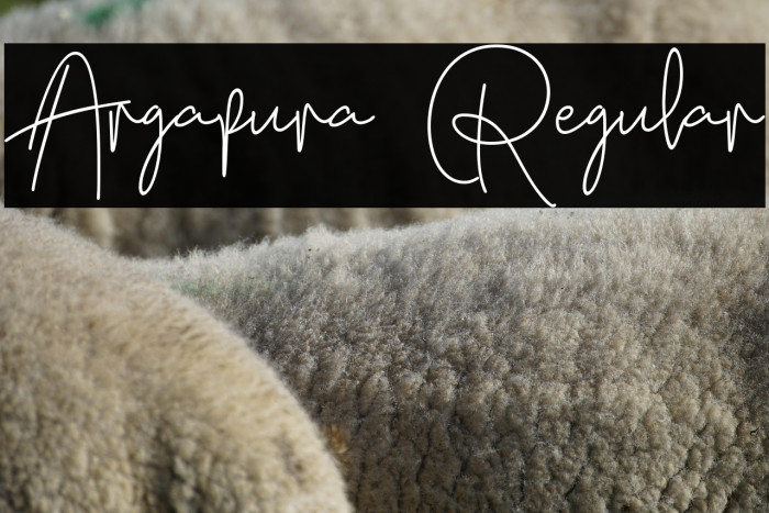 Argapura Regular Example 3