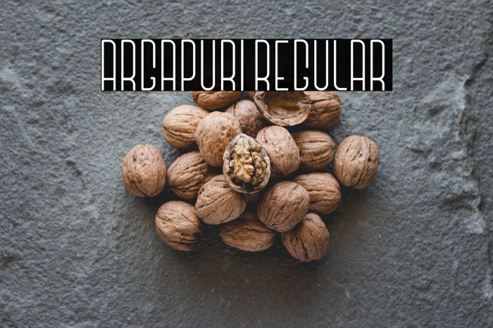 Argapuri Regular Example 3