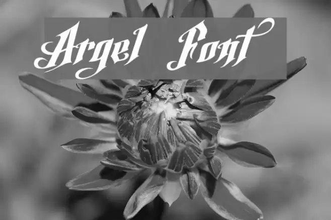 Argel Font Font examples