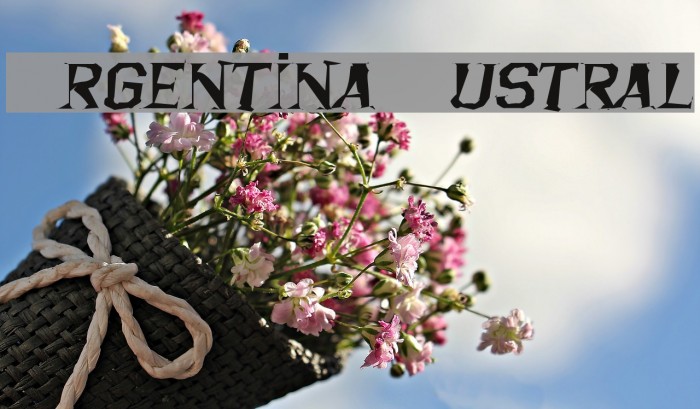 Argentina Austral Font examples