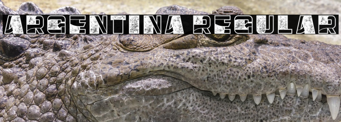 Argentina Regular Example 2