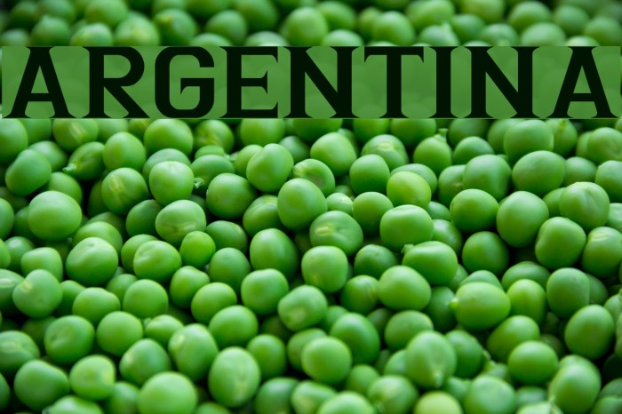 Argentina Font examples