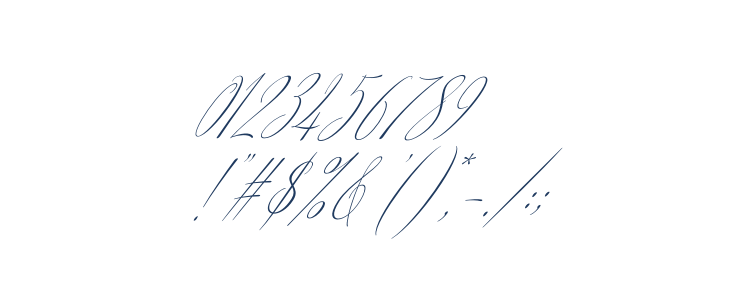 ArgentinaScript-Italic Other Characters