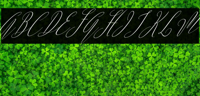 ArgentinaScript-Italic Example 1