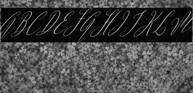 ArgentinaScript-Italic Font examples