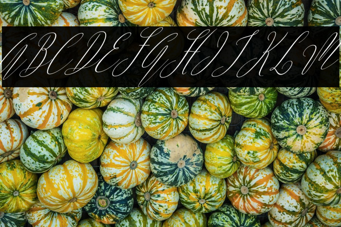 ArgentinaScript-Italic Example 2