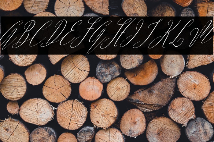 ArgentinaScript-Italic Example 3