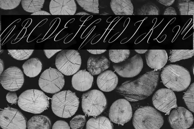 ArgentinaScript-Italic Font examples