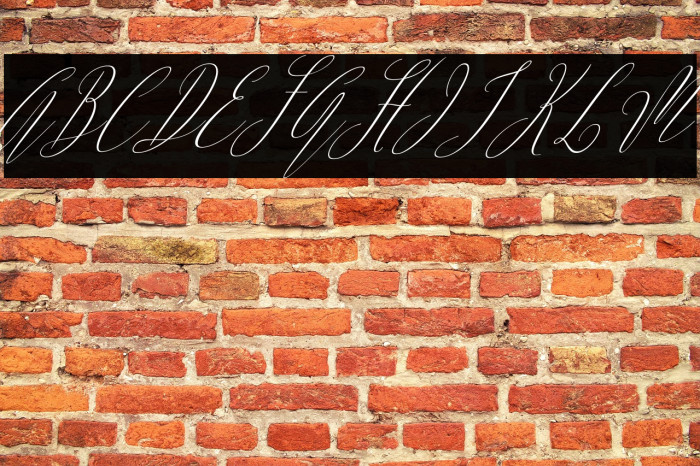 ArgentinaScript-Italic Example 2