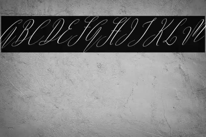 ArgentinaScript-Italic Font examples