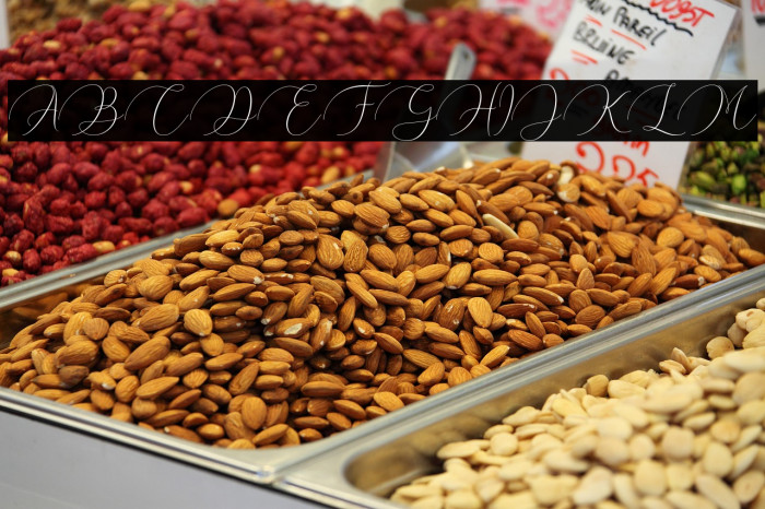 ArgentinaScript-Regular Example 1